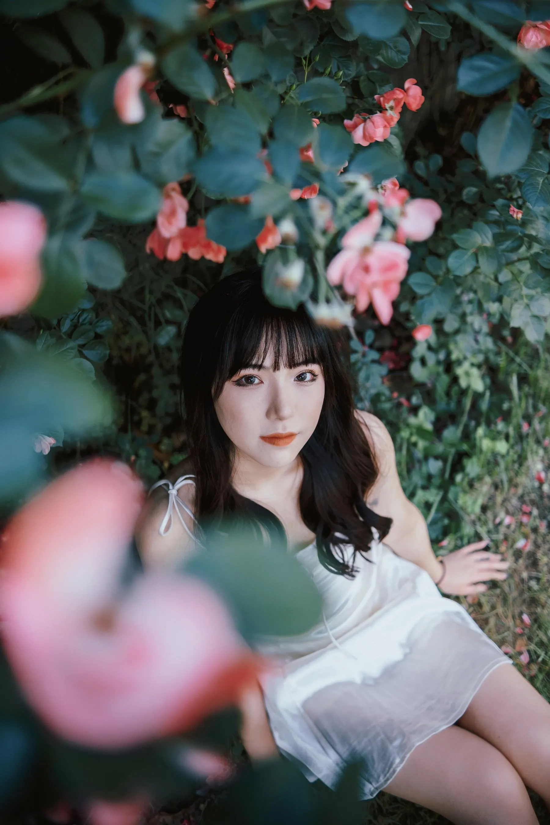 [艺图语] 2022.06.10 蔷薇花下 依依 [25P]插图9